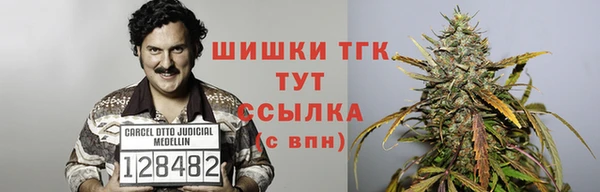 дмт Переславль-Залесский