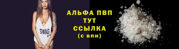 дмт Переславль-Залесский