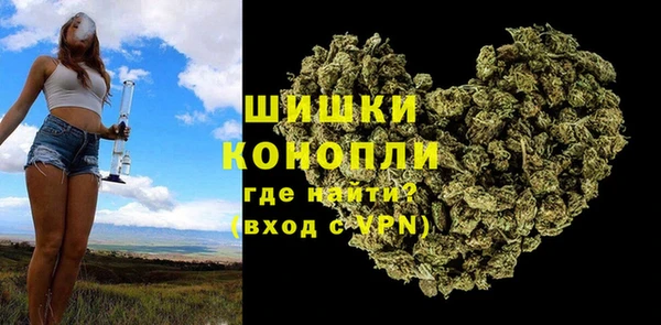 дмт Переславль-Залесский