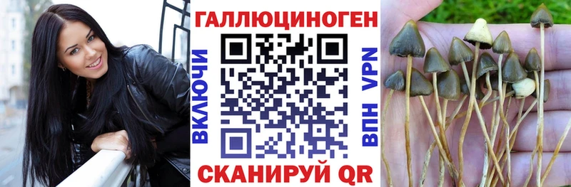 ссылка на мегу зеркало  Хилок  Псилоцибиновые грибы ЛСД 